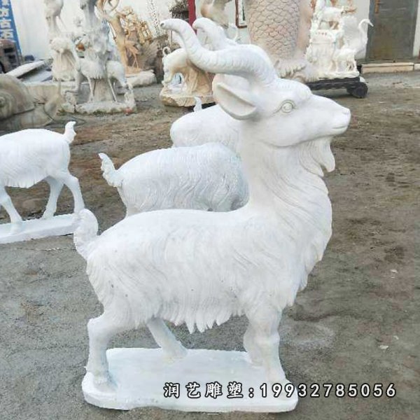 石雕羊 (11)