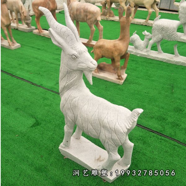 石雕羊 (69)