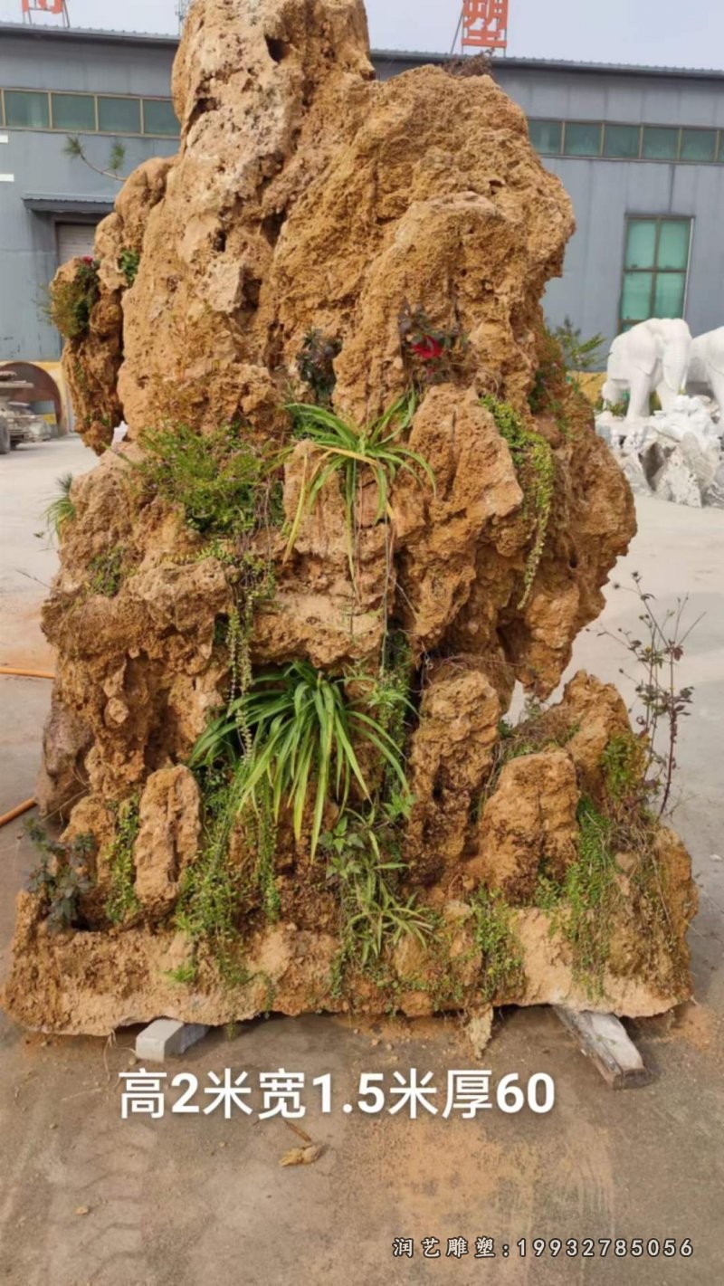 小区假山石雕 (1)