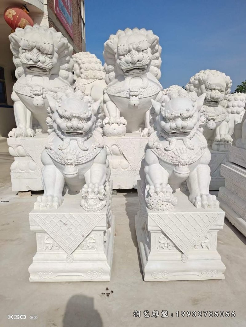 广场汉白玉狮子石雕 (25)