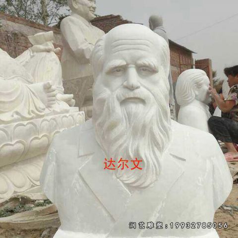 校园大理石达尔文雕塑